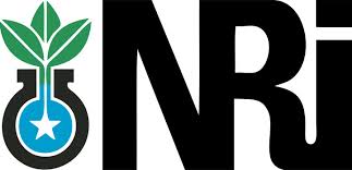 NRI's guide to renting out property in India